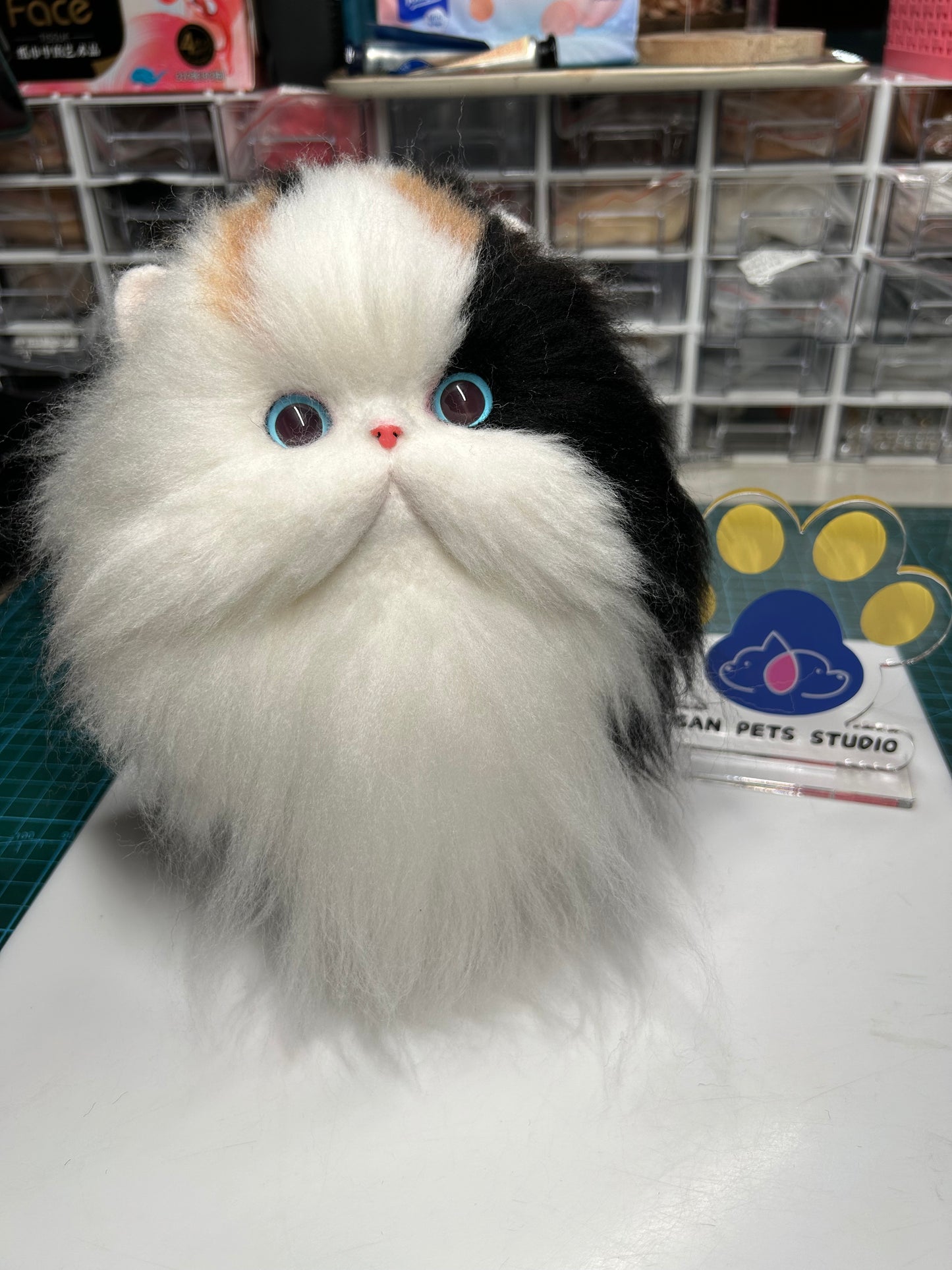 Cat-Customize Wool-Felt